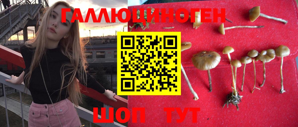 Псилоцибиновые грибы ЛСД  Вход с VPN  Белгород 
