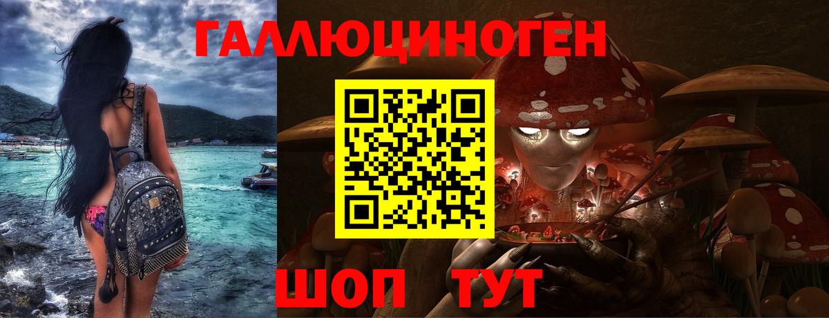 Псилоцибиновые грибы Psilocybine cubensis Белгород